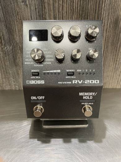 Store Special Product - BOSS - RV-200